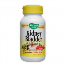 Kidney Bladder