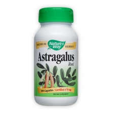 Astragalus Root