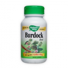 Burdock Root