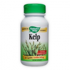 Kelp