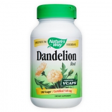 Dandelion Root