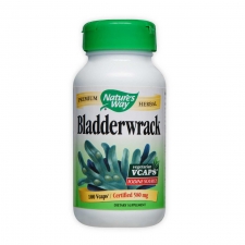 Bladderwrack
