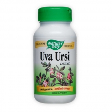 Uva Ursi Leaves
